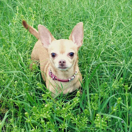 Nina
